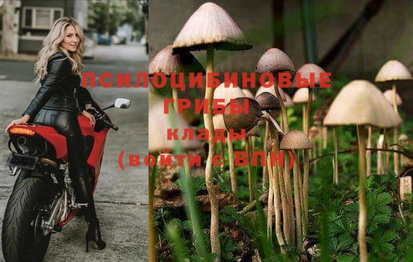 ешки Балахна
